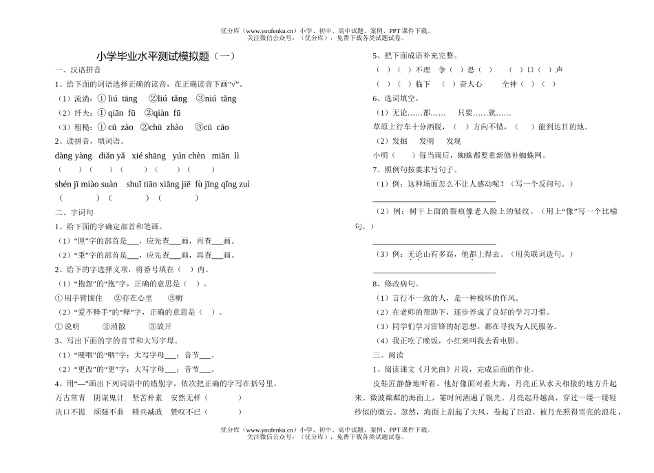 小学六年级语文毕业水平测试模拟题(一)试卷_第1页