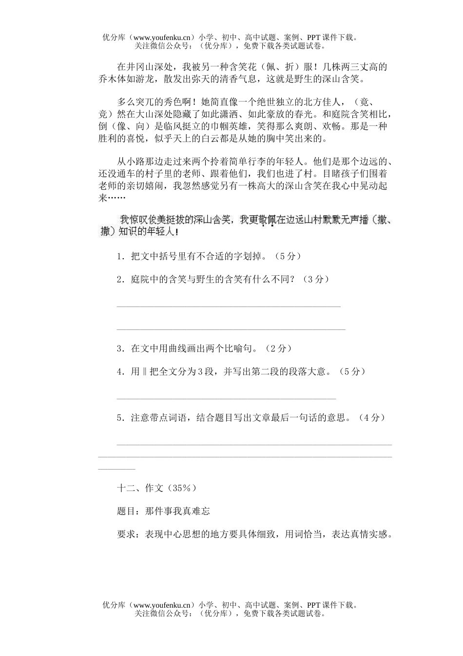 小学六年级语文第十一册期未(七)试卷_第3页
