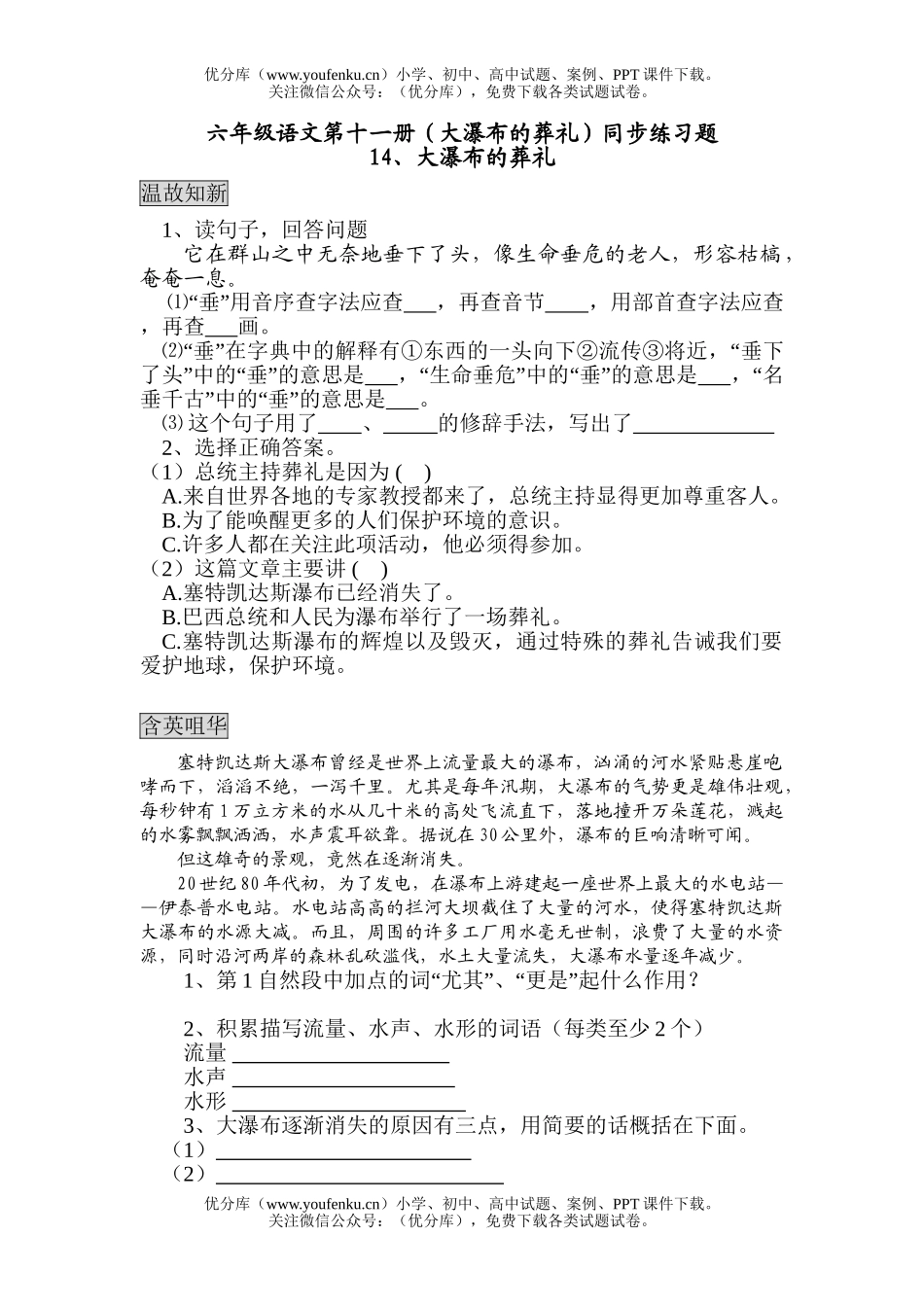 小学六年级语文人教版大瀑布的葬礼练习题试卷_第1页