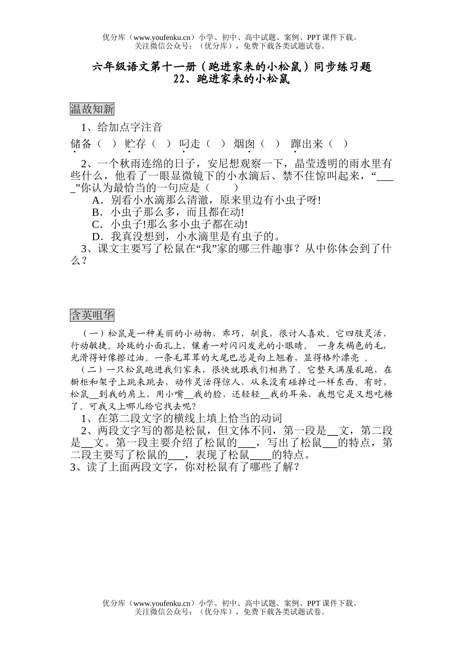 小学六年级语文人教版跑进家来的小松鼠同步练习题试卷_第1页