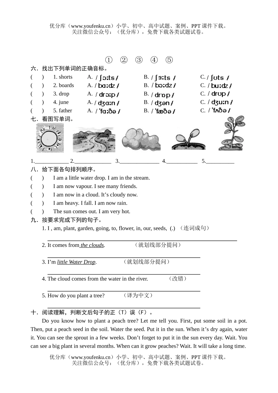 小学六年级英语Unit6试卷_第2页