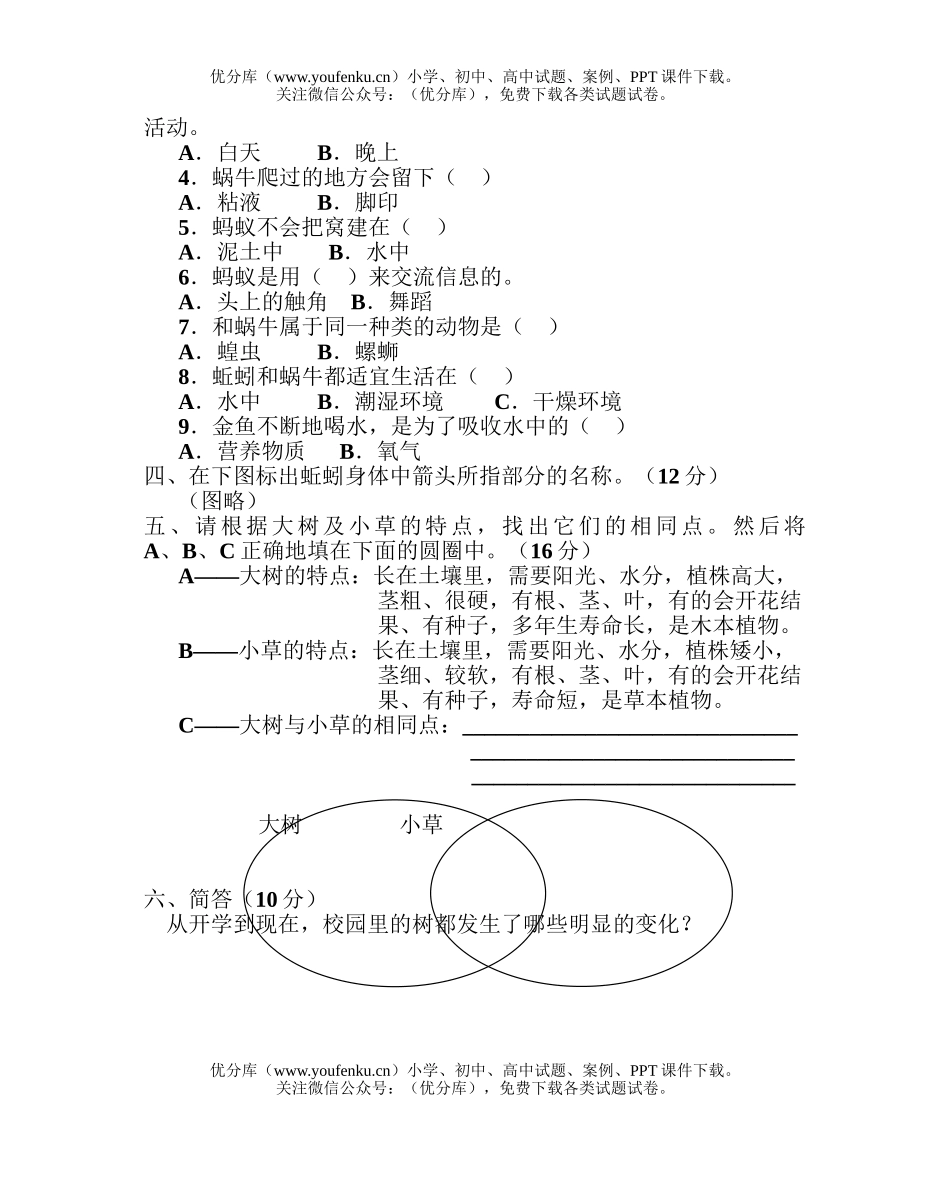 小学综合上学期期中试卷_第2页