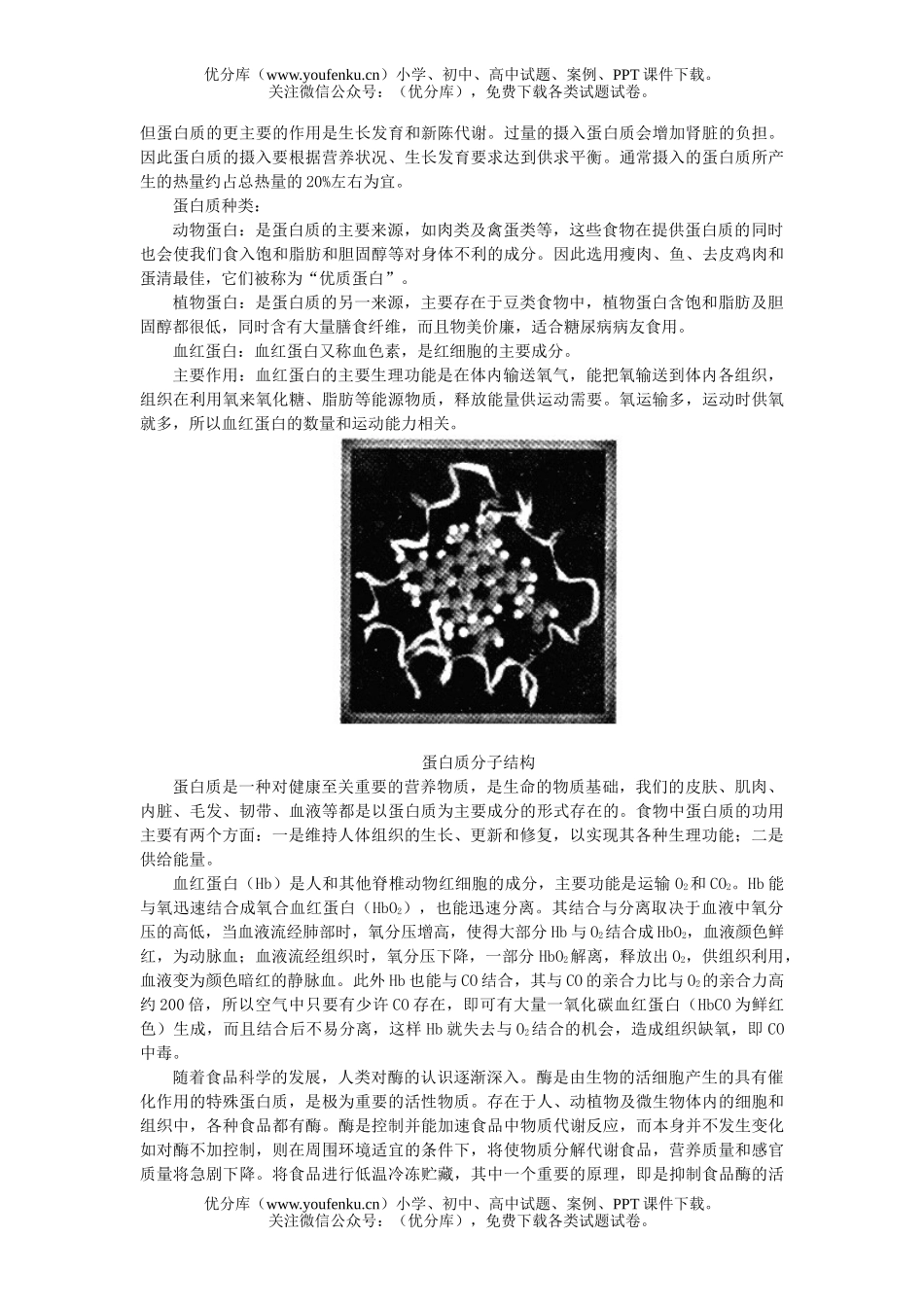 初中化学人类重要的营养物质知识精讲试卷_第2页