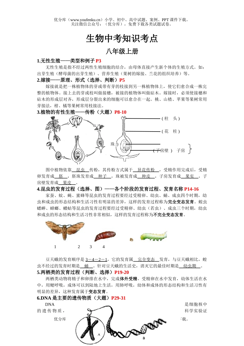 初中九年级生物中考重点知识考点试卷_第1页