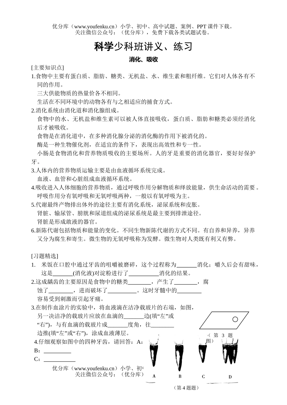 初中九年级科学少科班讲义、练习试卷_第3页