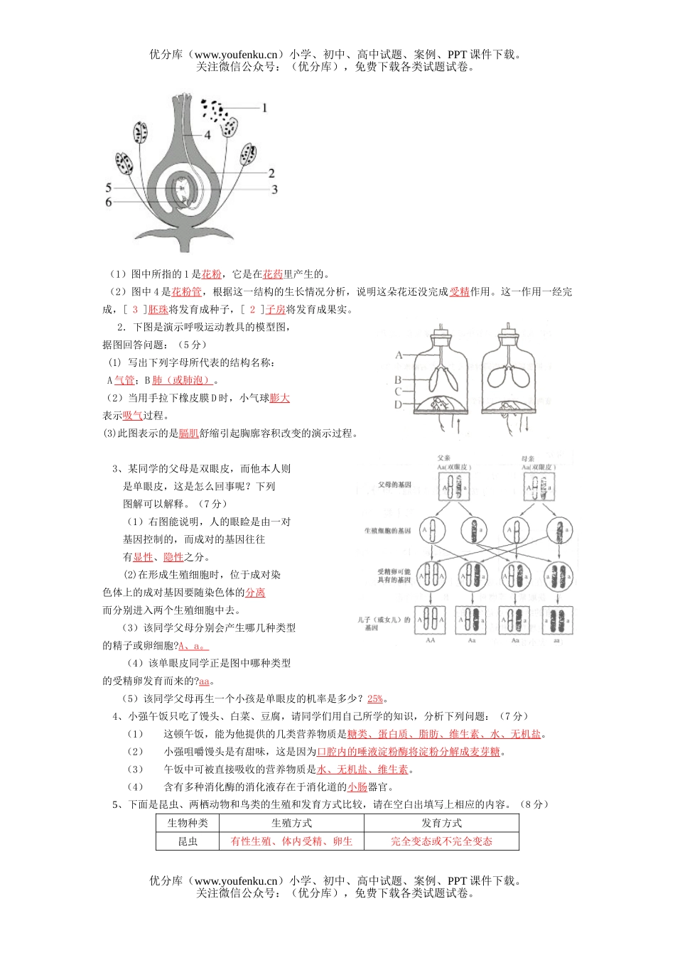 初中九年级生物中考模拟1试卷_第3页