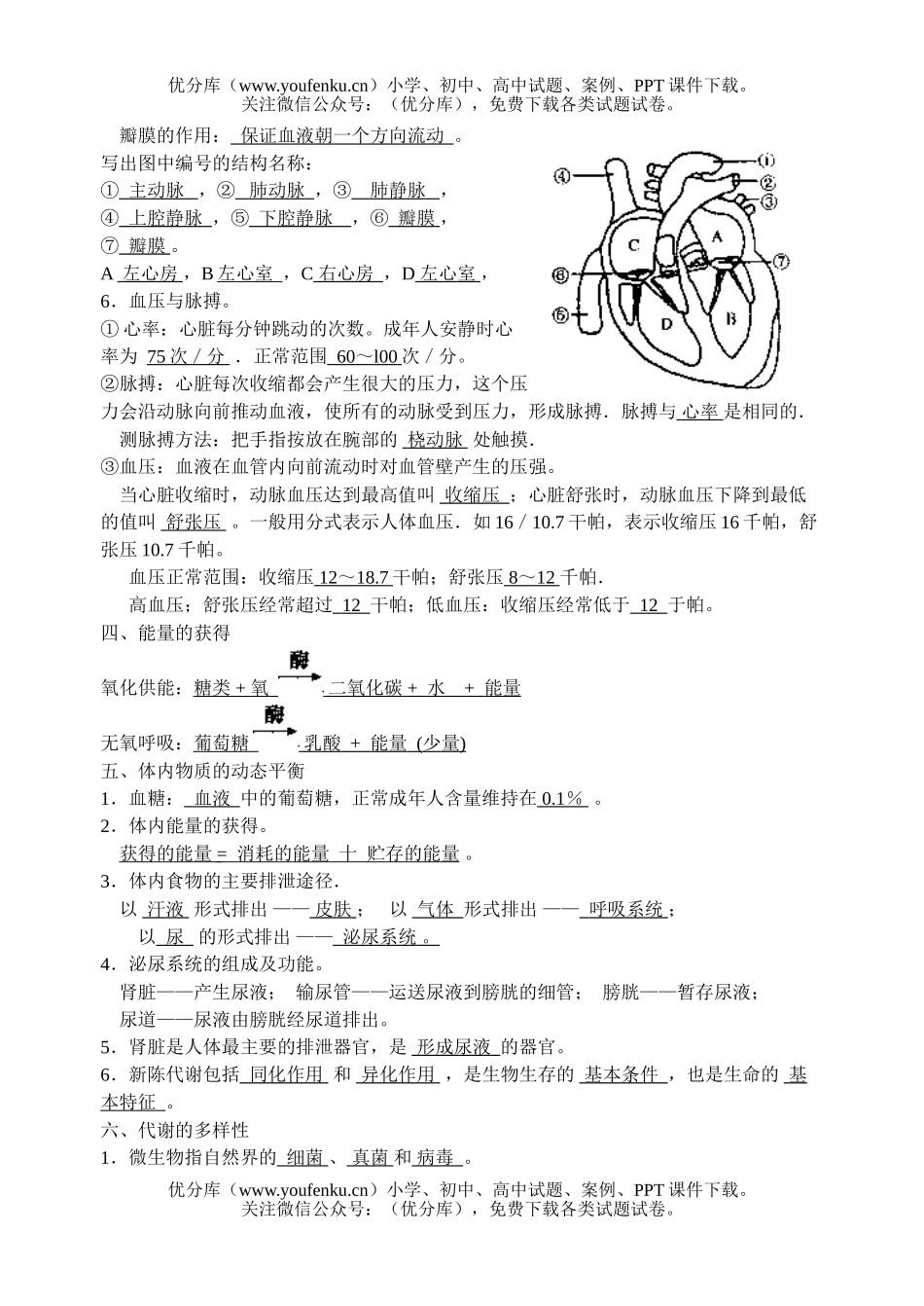 初中九年级科学第四章基础知识分析试卷_第3页
