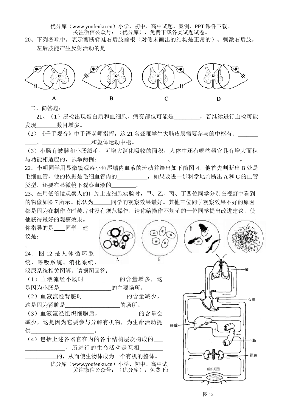 初中九年级生物毕业班第四次月考试卷_第3页