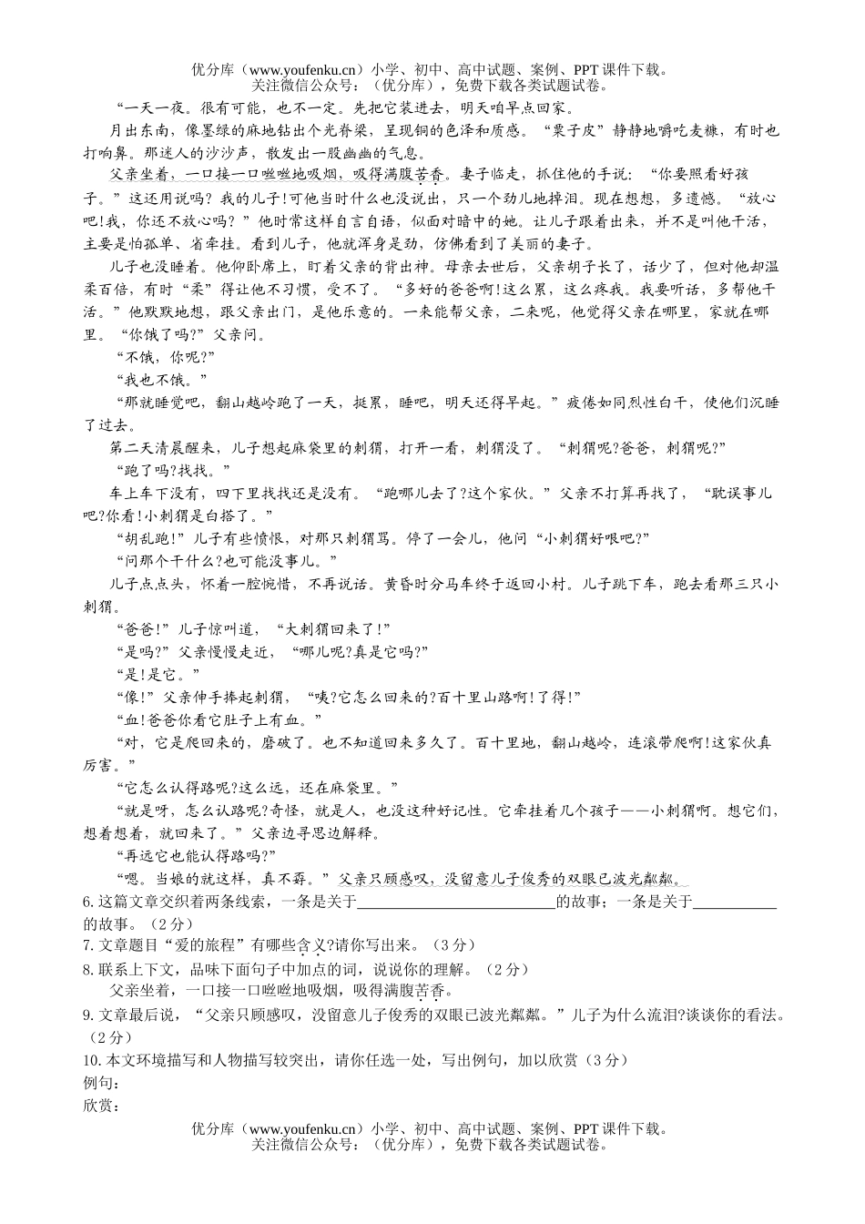 初中语文中考中考全真模拟测试17试卷_第2页