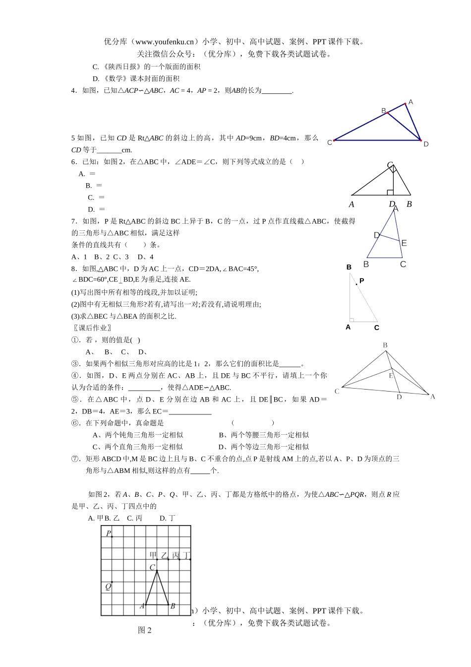 初中数学中考总复习图形的相似试卷_第2页