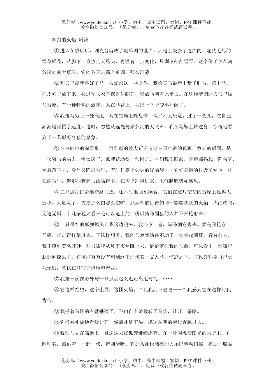 初中语文中考中考奔跑的火焰阅读试卷_第1页