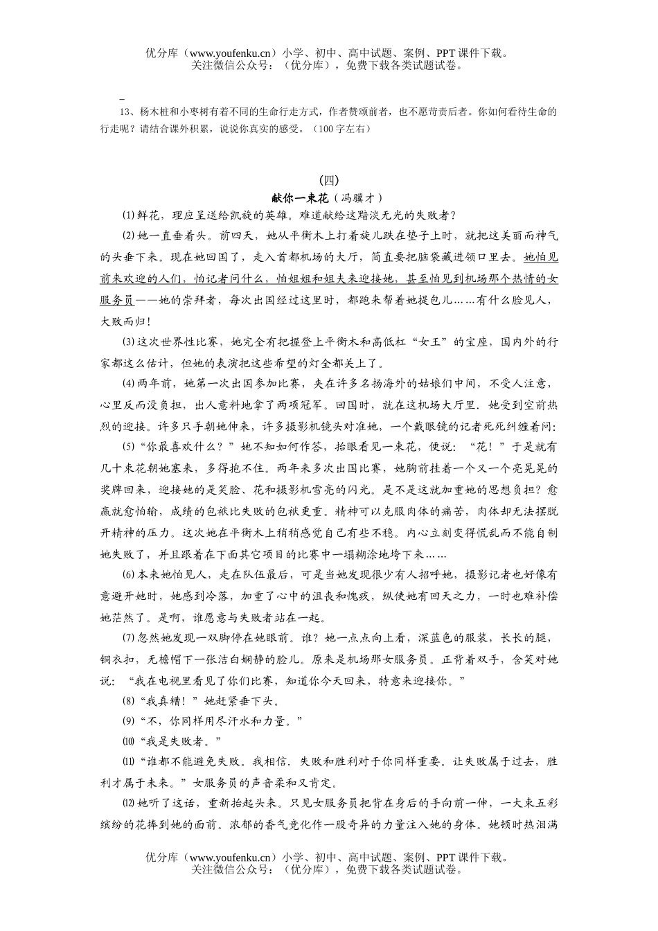 初中语文中考中考记叙文阅读指导试卷_第3页