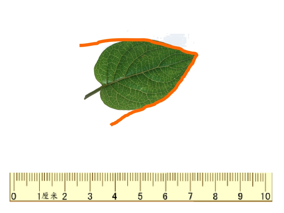 《认识周长》四边形PPT课件[人教版三年级数学上册]_第3页