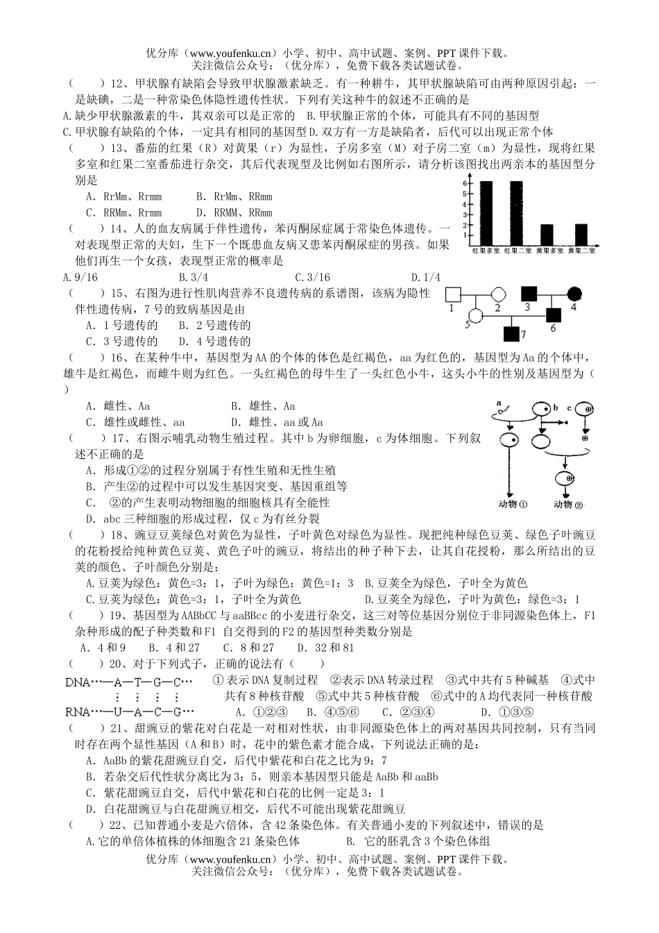 高中一年级生物必修2测试卷_第2页