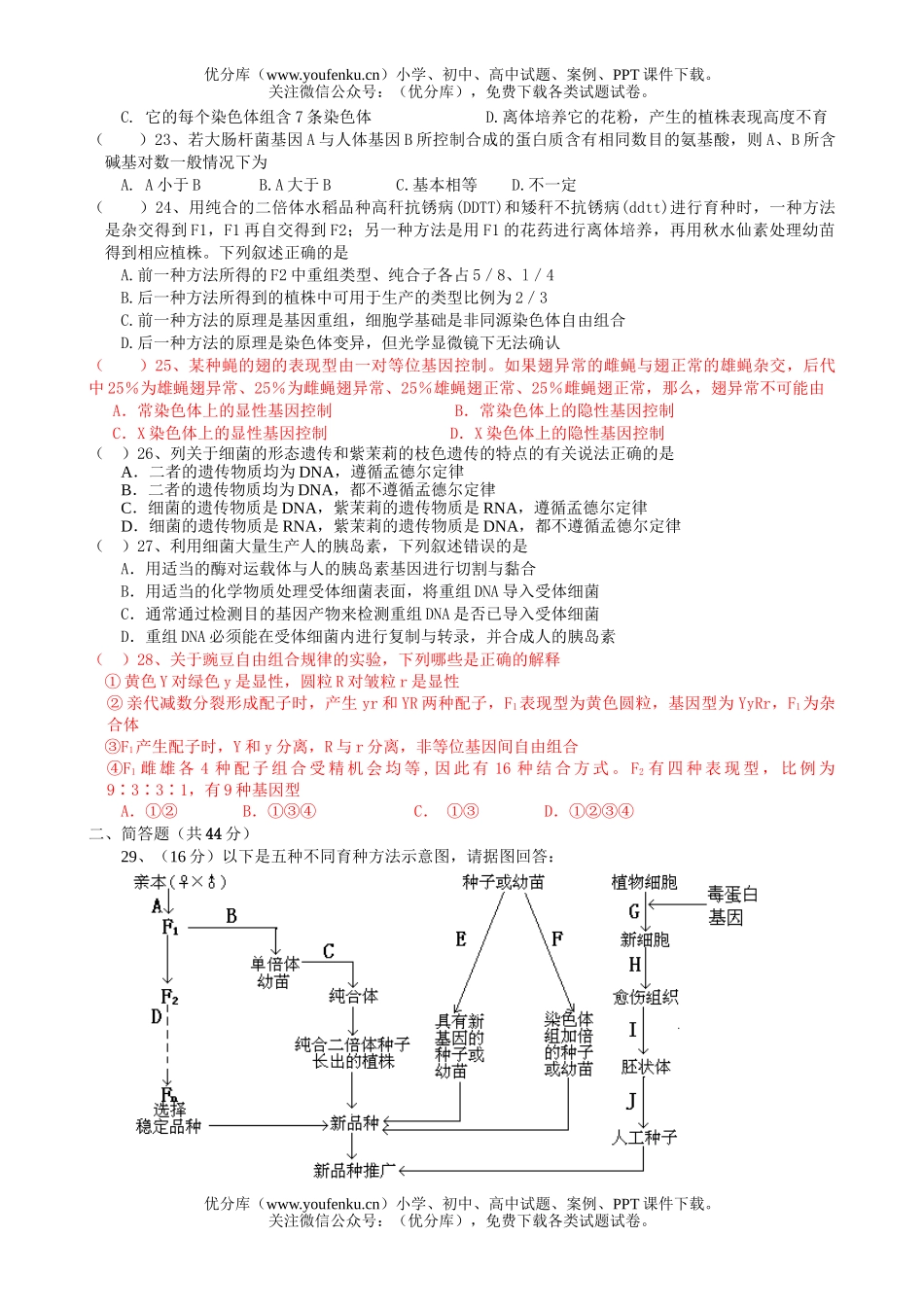 高中一年级生物必修2测试卷_第3页
