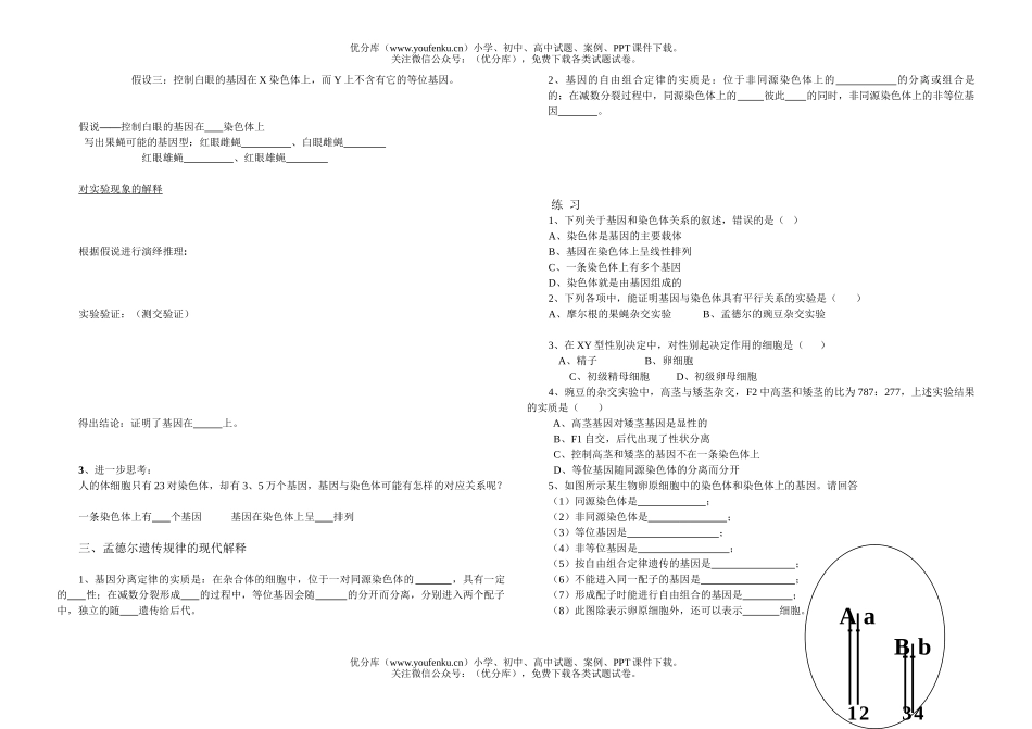高中一年级生物基因和染色体的关系试卷_第1页