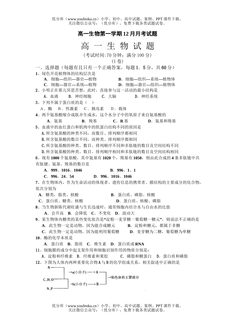 高中一年级生物第一学期12月月考试卷_第1页