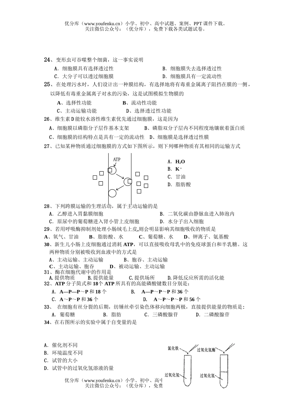 高中一年级生物第一学期12月月考试卷_第3页