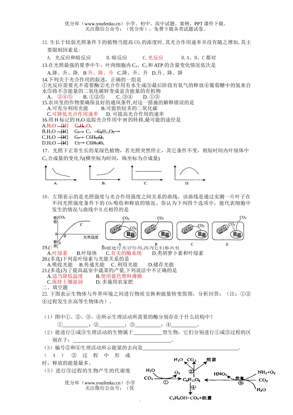高中一年级生物光合作用复习试卷_第3页