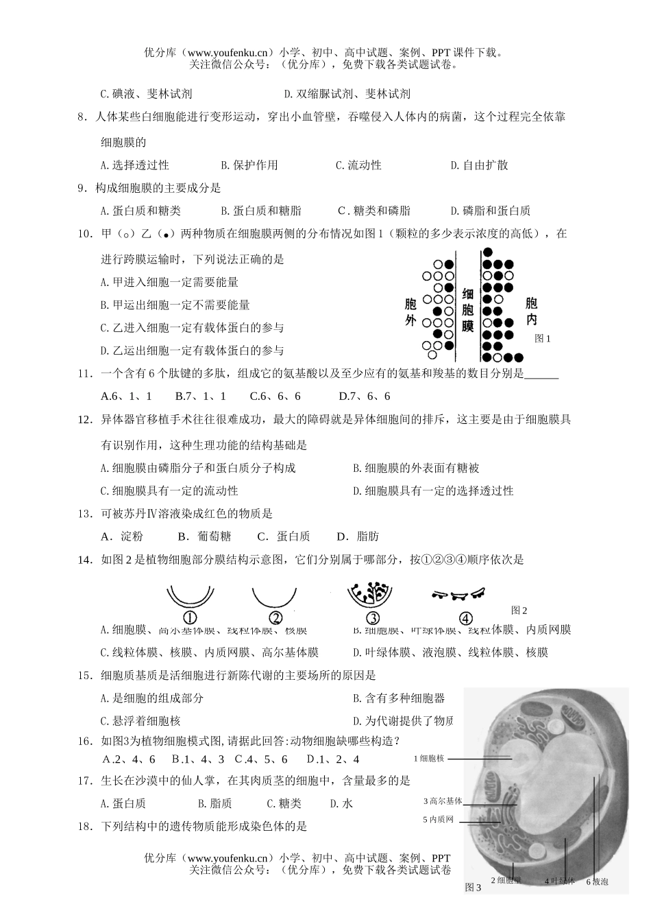 高中一年级生物高上册期中考试卷_第2页