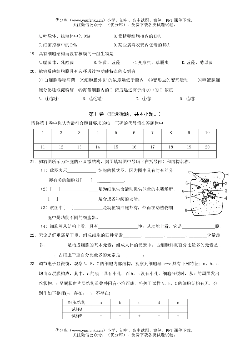 高中一年级生物高上册期中考试卷_第3页