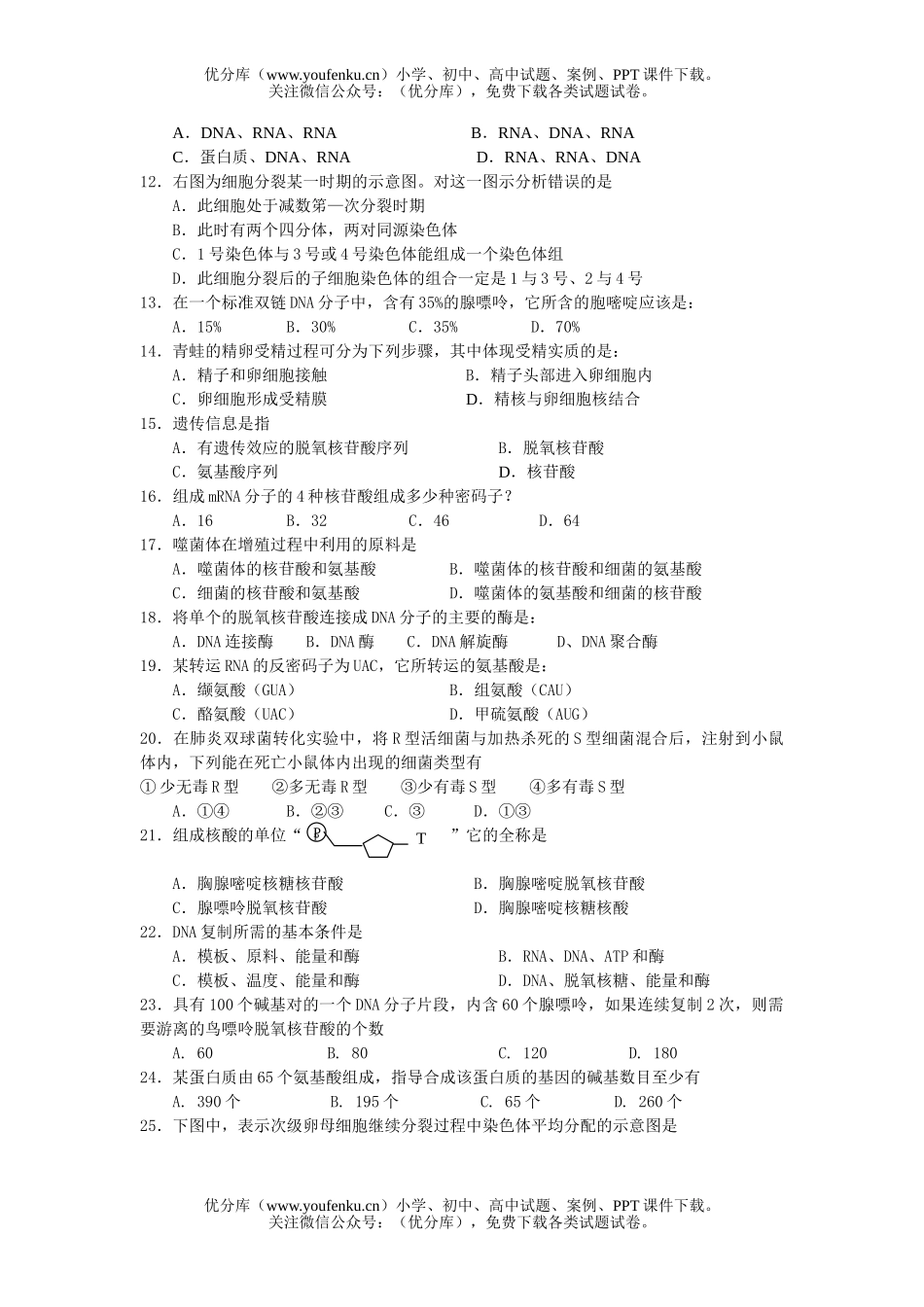 高中一年级生物必修2期末复习综合试卷_第1页