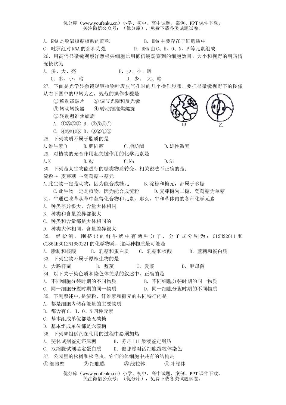 高中一年级生物第一学期期末试卷_第3页