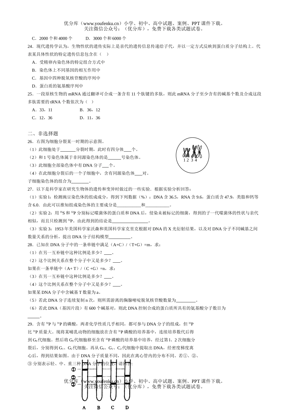 高中一年级生物第二学期第一次月考1试卷_第3页