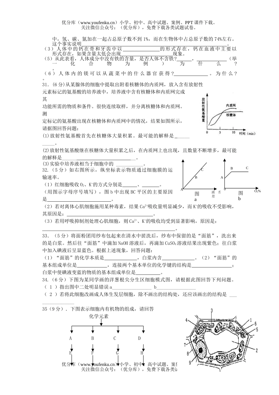 高中二年级生物第一次月考试卷_第3页