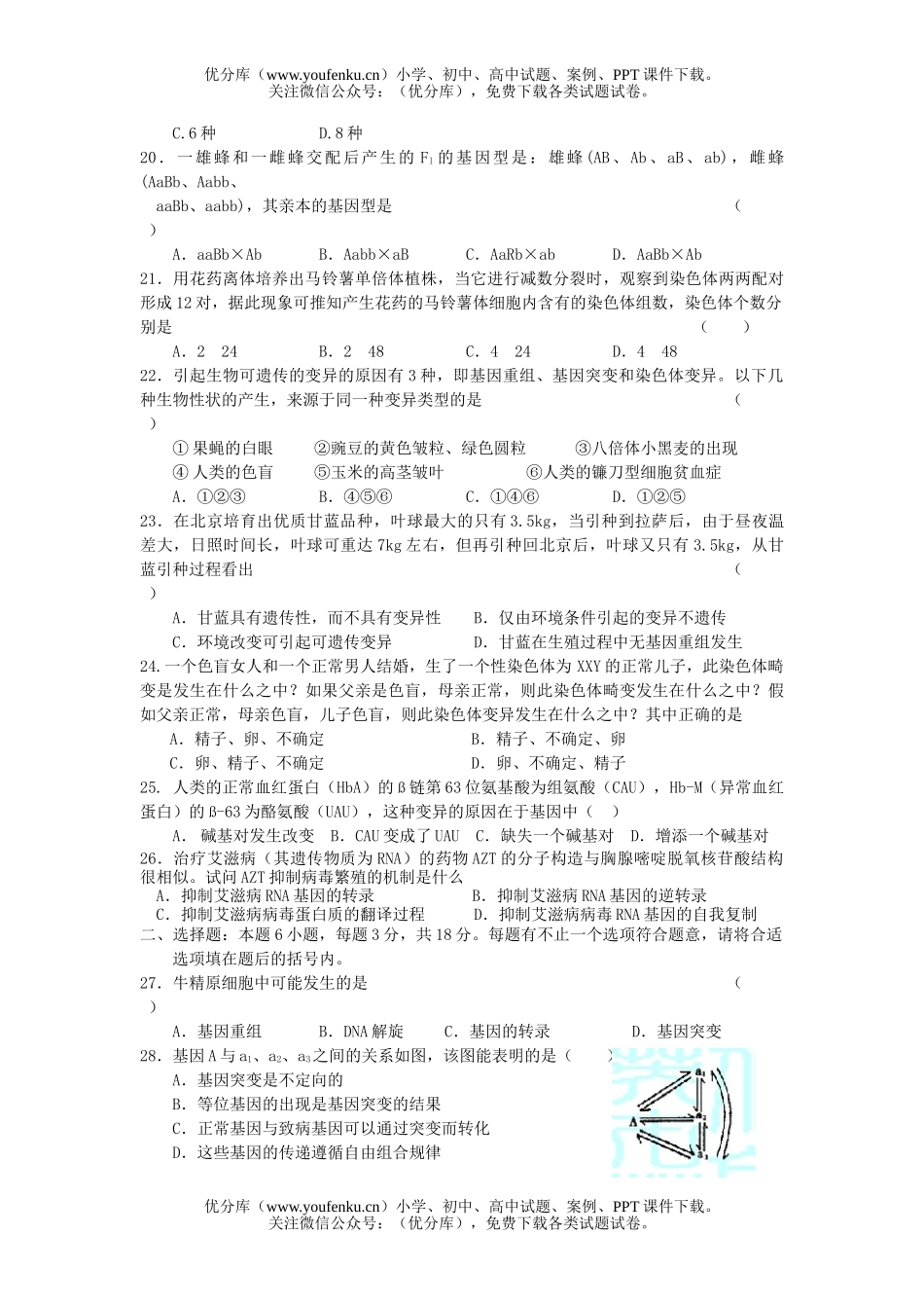 高中二年级生物下学期同步测试3遗传和变异试卷_第3页