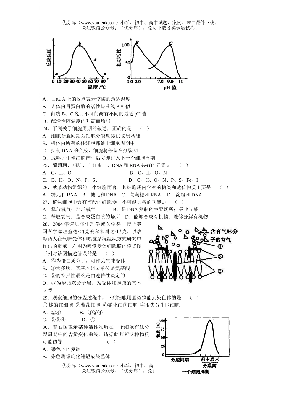 高中二年级生物文科上学期期中试卷_第3页