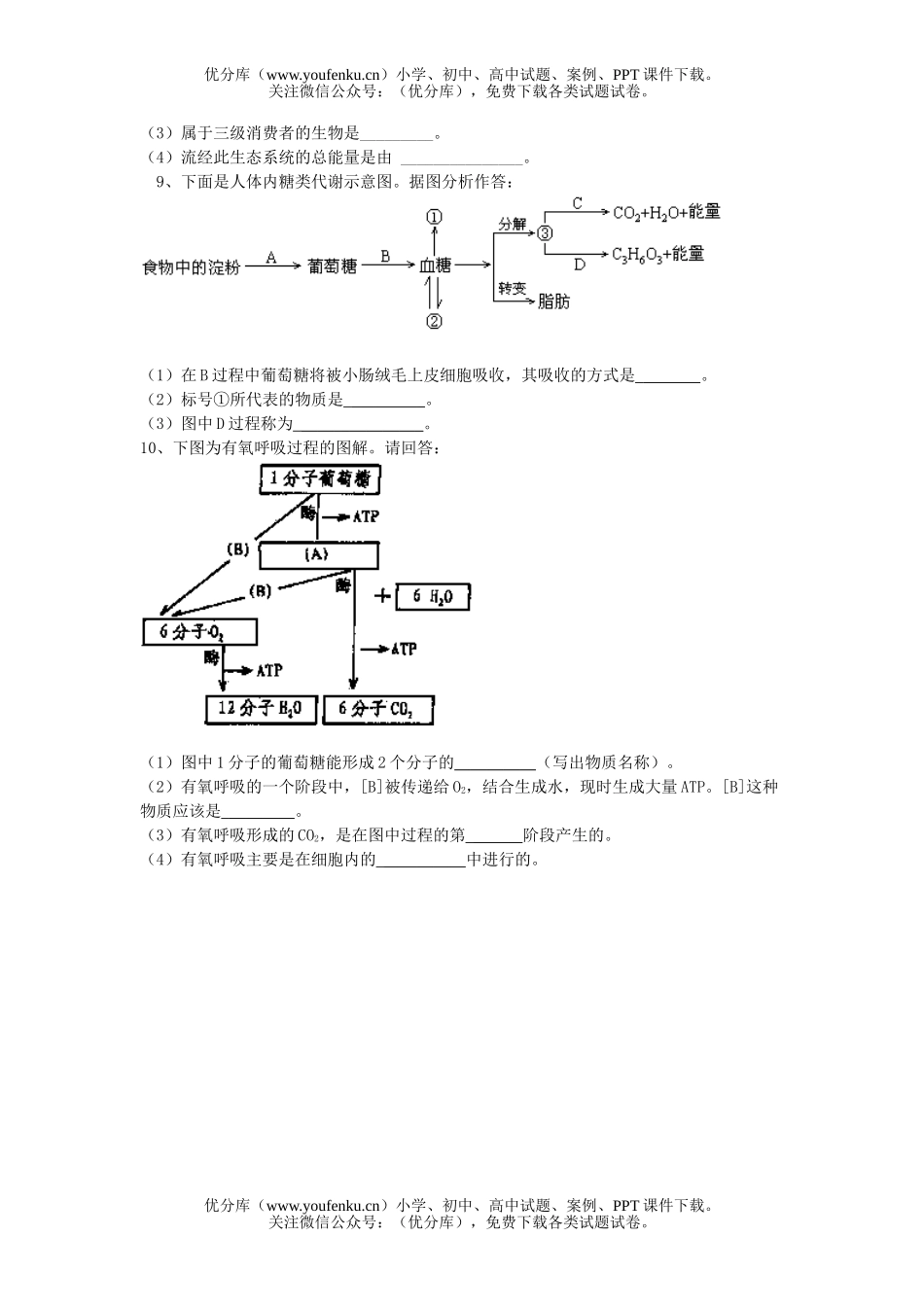 高中三年级生物高考综合考试理科综合模拟1(部分)试卷_第2页