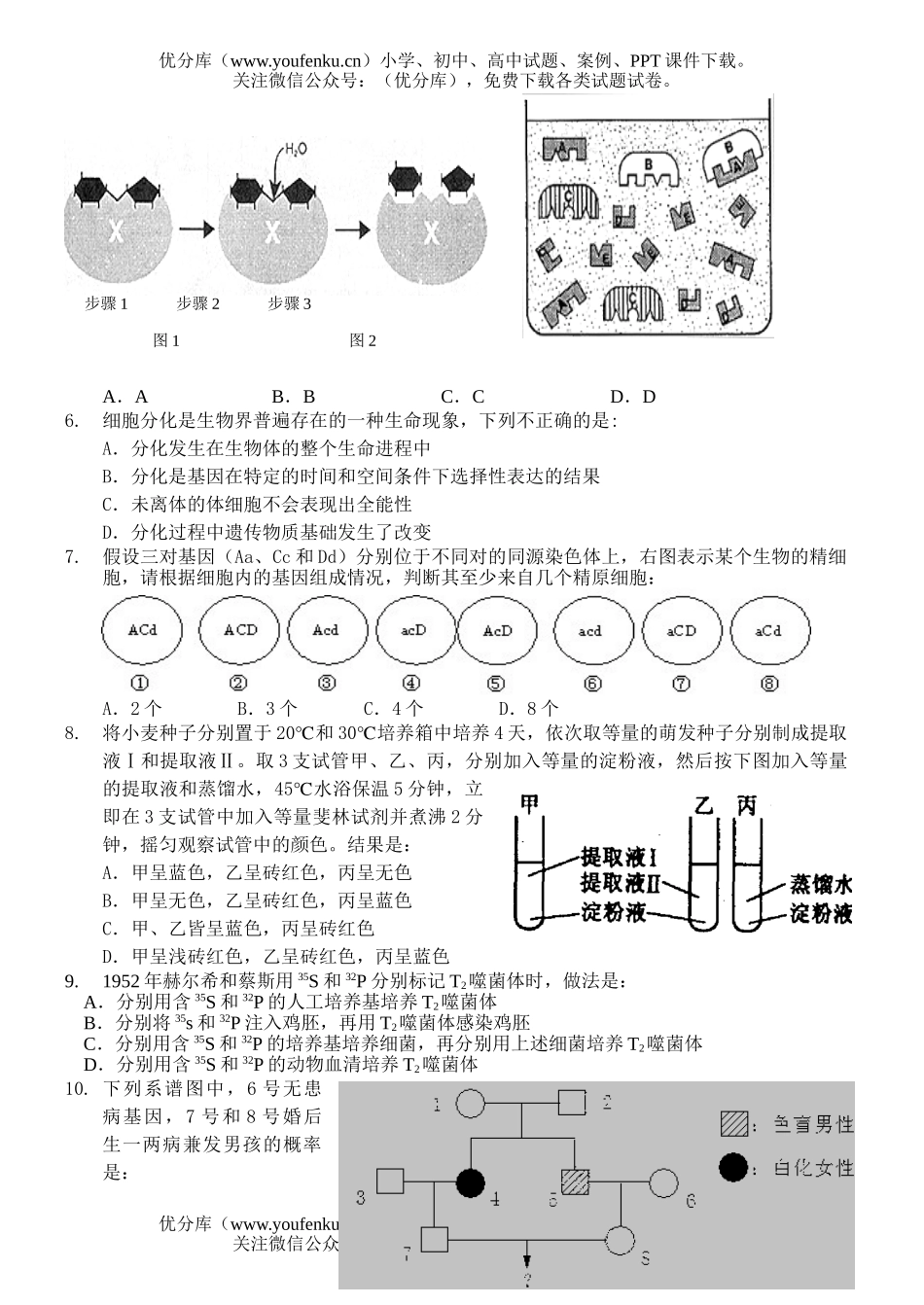 高中三年级生物2月月考试卷_第2页