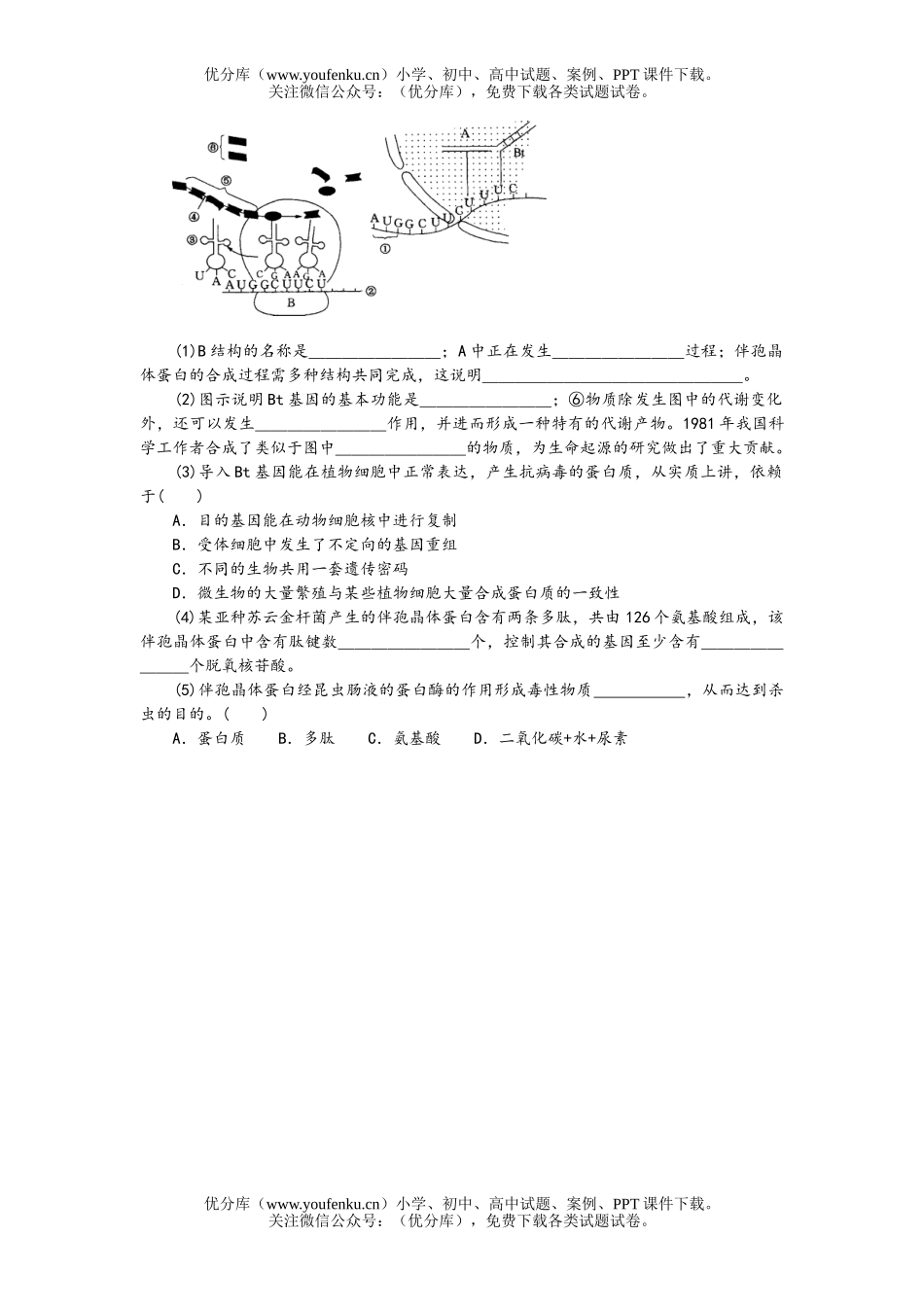 高中三年级生物遗传及基因工程试卷_第3页