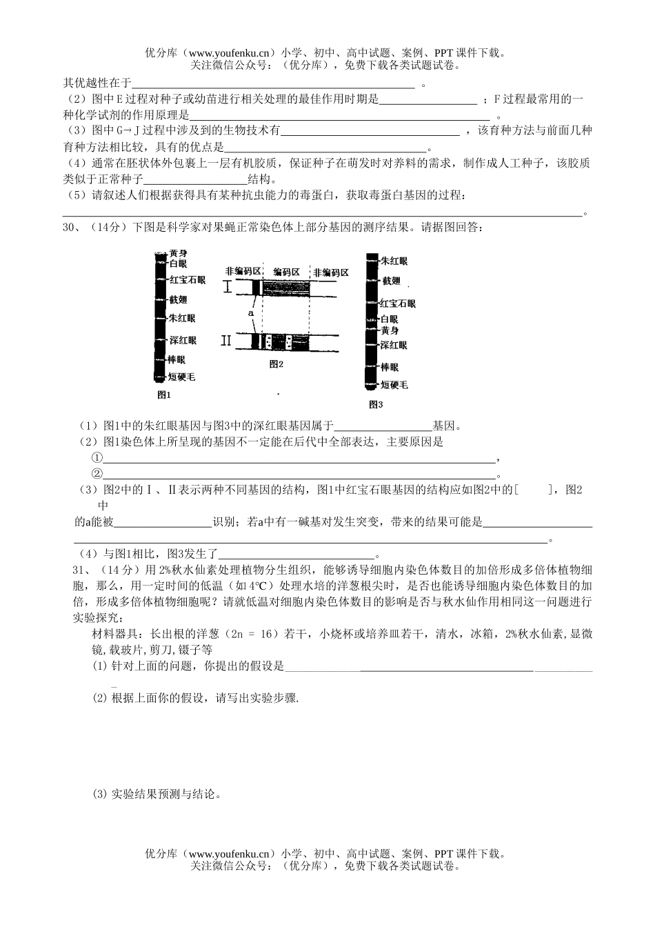 高中三年级生物的遗传和变异阶段测试卷_第3页