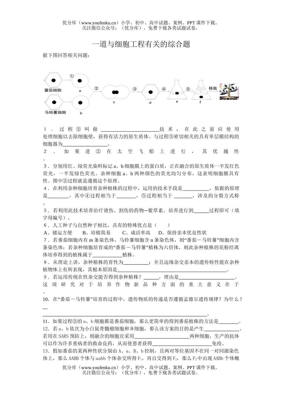 高中三年级生物一道与细胞工程有关的综合题试卷_第1页