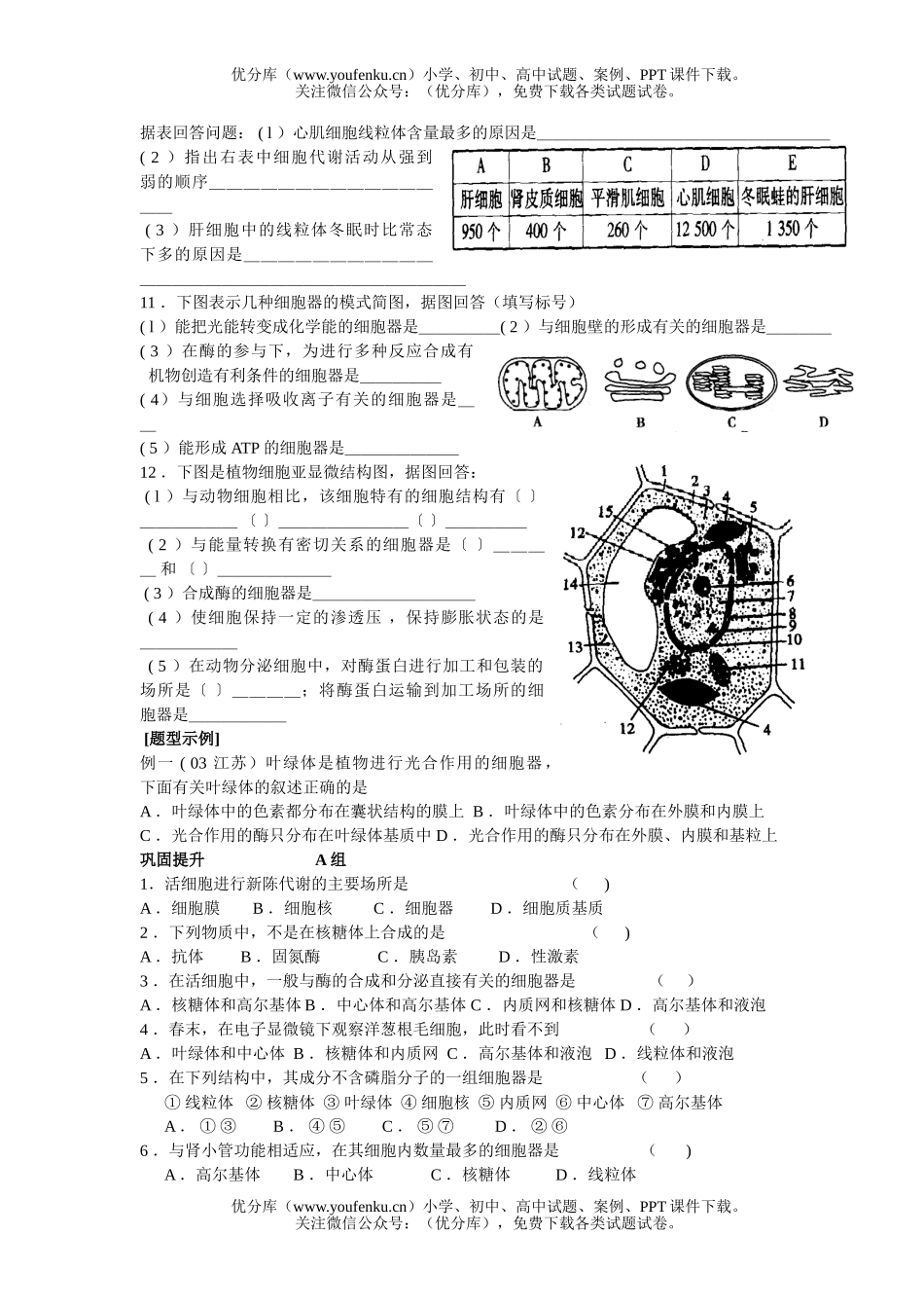 高中三年级生物细胞质的结构和功能试卷_第2页