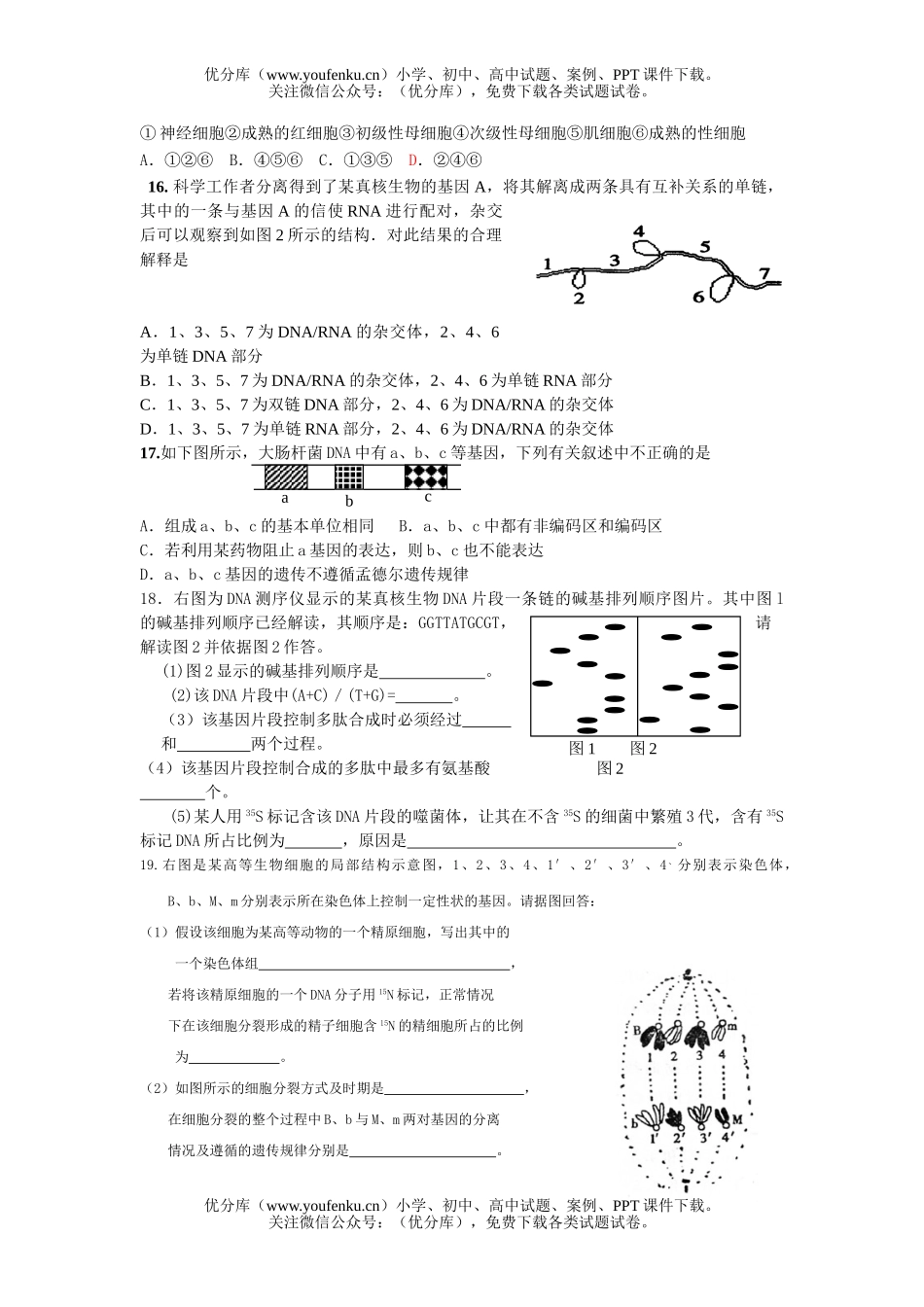 高中三年级生物精选(二十五)试卷_第3页