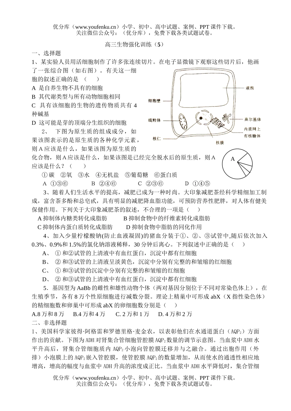 高中三年级生物高考强化训练5试卷_第1页