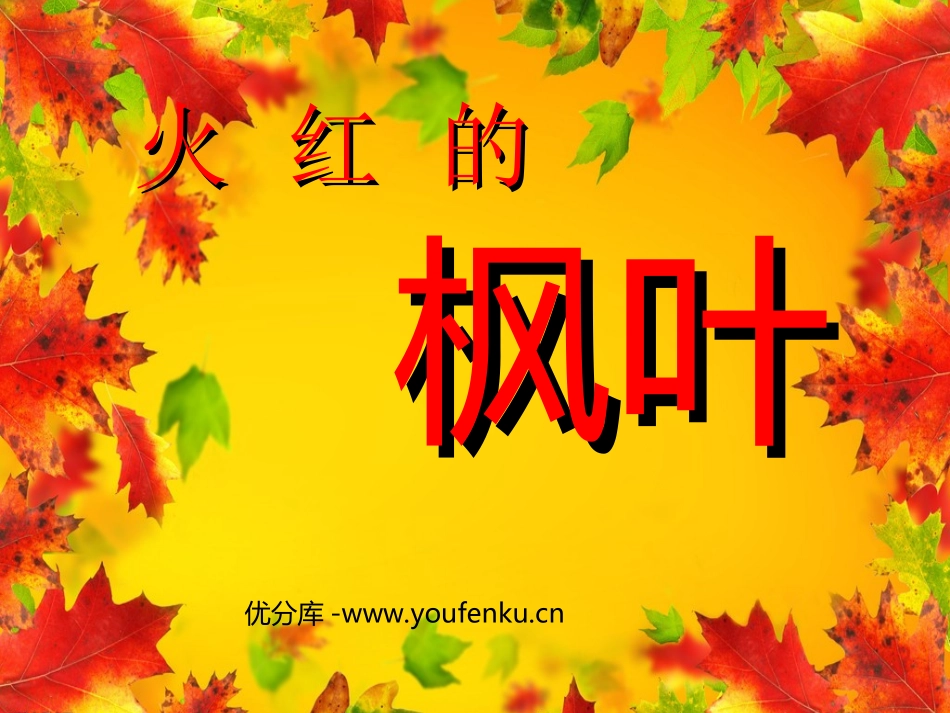 《火红的枫叶》PPT课件[北师大版二年级语文上册]_第1页