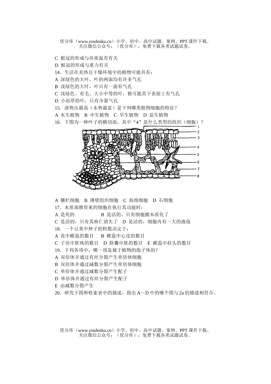 高中三年级生物第5届国际奥林匹克竞赛试卷_第3页