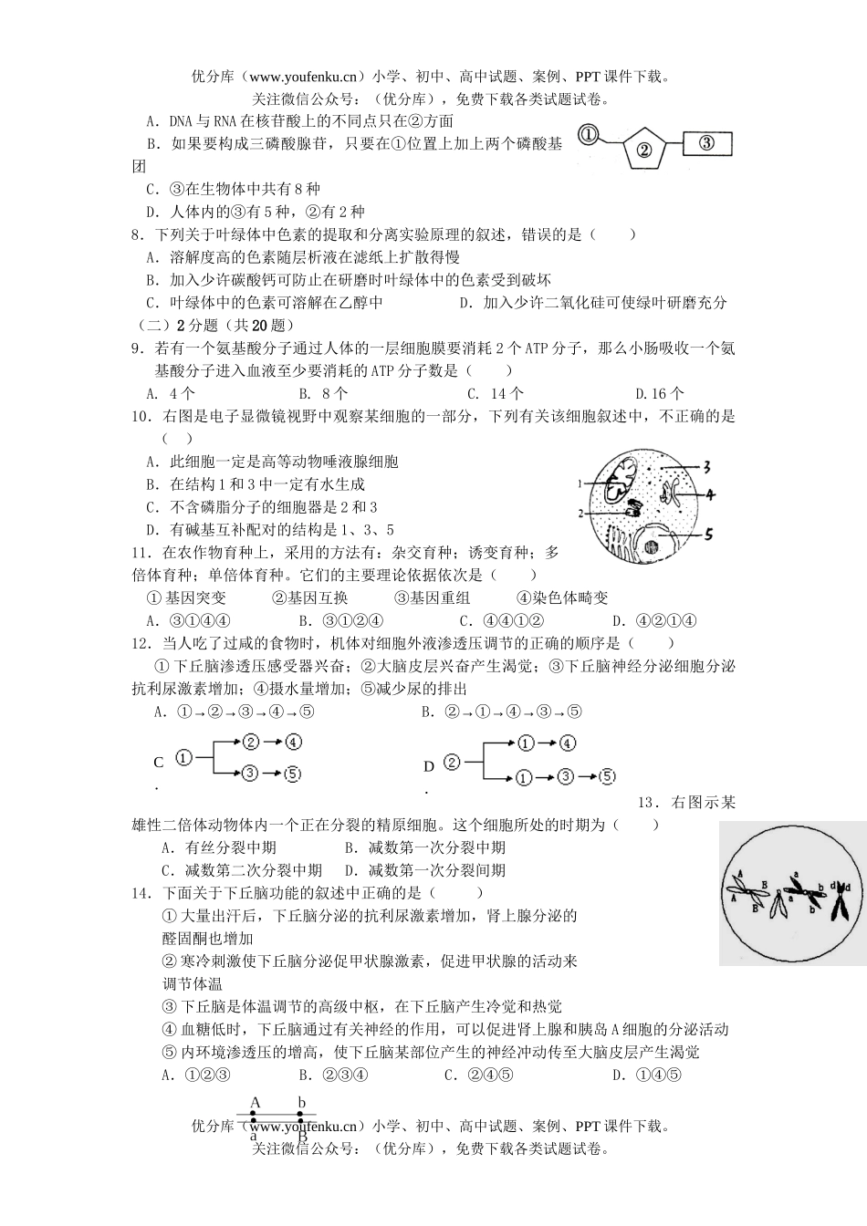 高中三年级生物高考生命调研测试卷_第1页