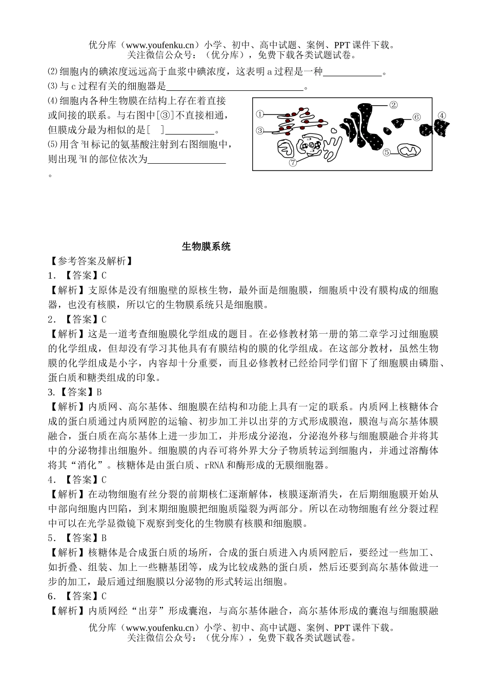高中三年级生物高考膜系统练习试卷_第3页