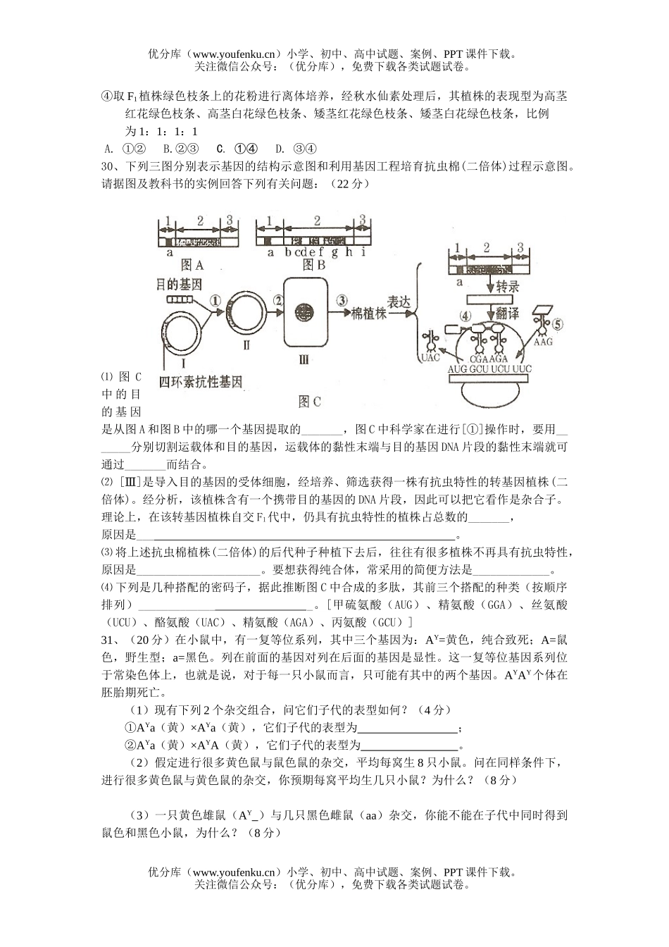 高中三年级生物联考理科综合试卷_第2页