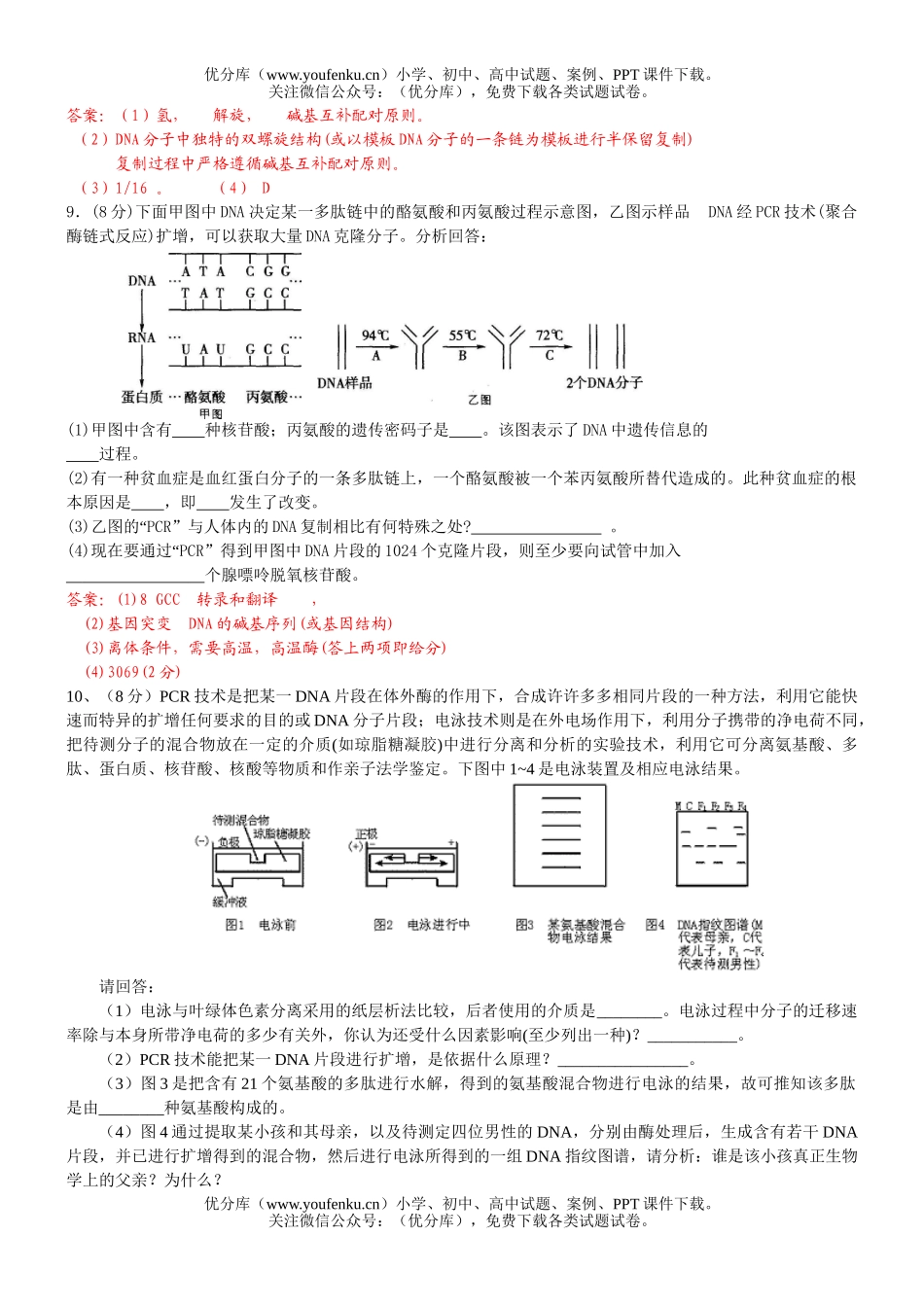 高中三年级生物PCR技术复习试卷_第3页