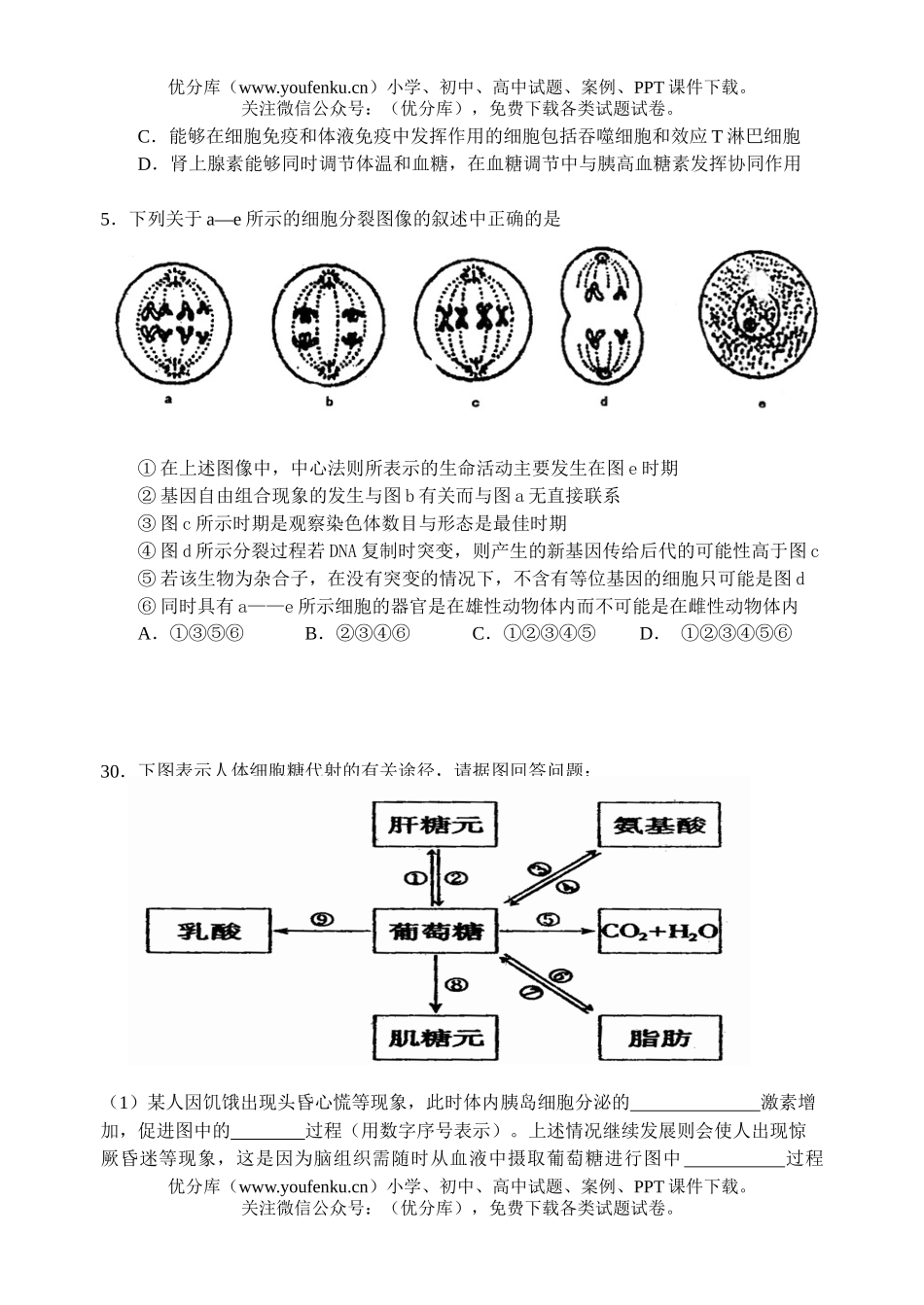 高中三年级生物理综模拟4试卷_第2页