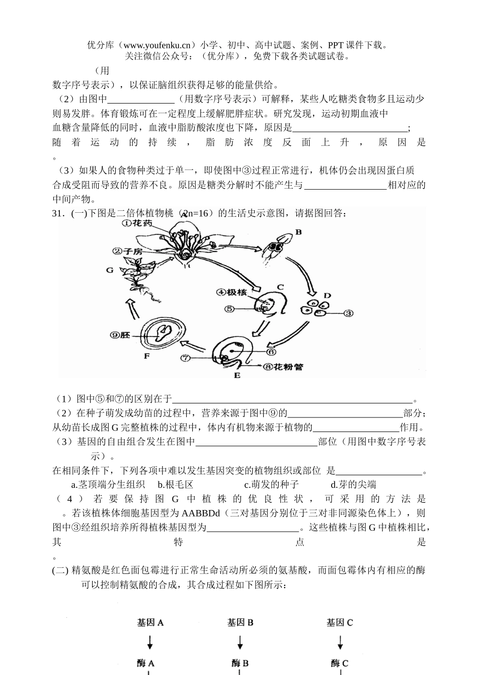 高中三年级生物理综模拟4试卷_第3页