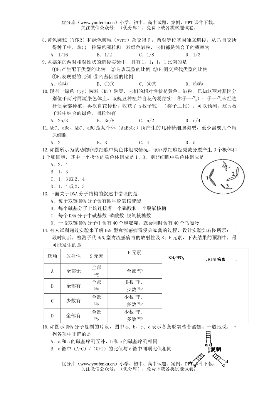 高中三年级生物上册第四次月考试卷_第2页