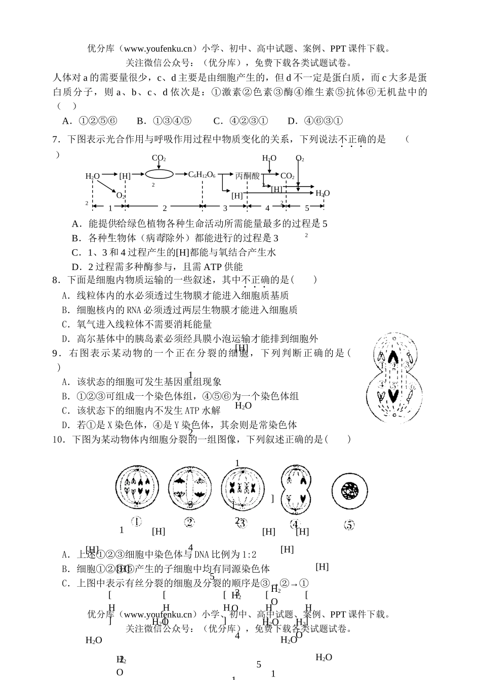 高中三年级生物上册复习练习题试卷_第2页