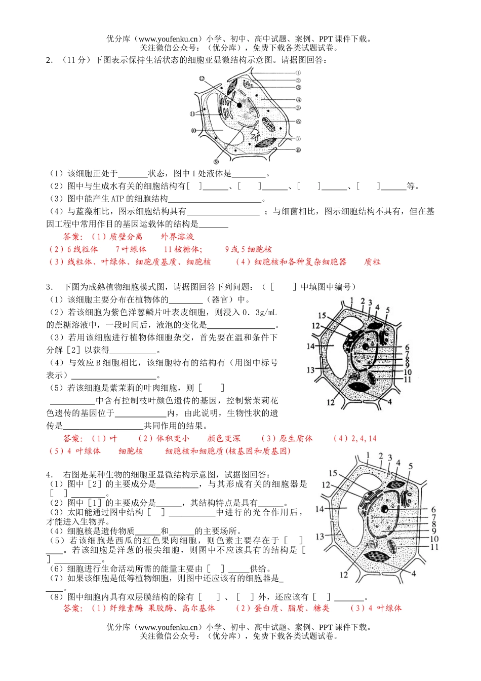 高中三年级生物复习细胞的亚显微结构图测试卷_第2页
